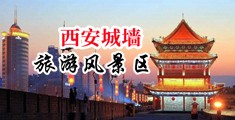 免费看逼毛多的中国陕西-西安城墙旅游风景区
